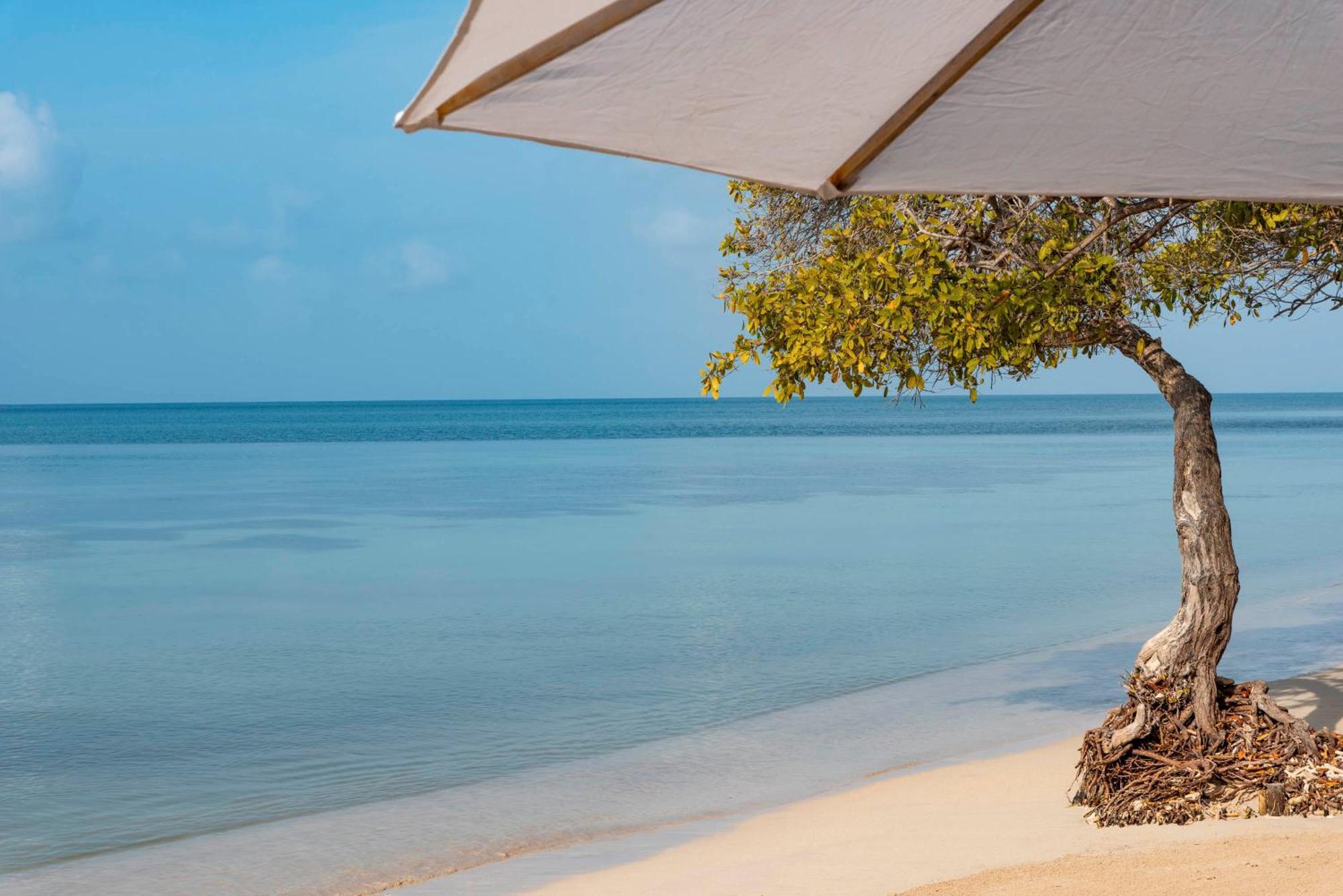 Hotel Isla Del Encanto Isla Barú エクステリア 写真